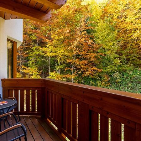 Apartment Rose Chopok 1100 M-On Hiking Trail-View-Hot Tub-Sauna-View ديمانوفْشكا دولِنا المظهر الخارجي الصورة